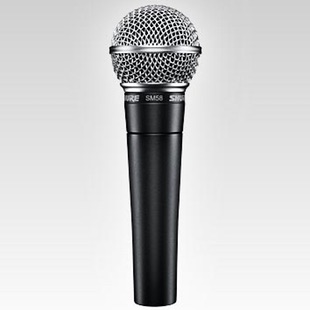 Wireless Microphones Rental