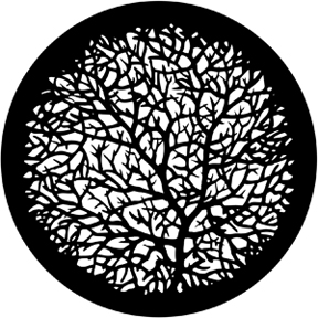 Bare-Branches2 Type-B Gobo Rosco 77777